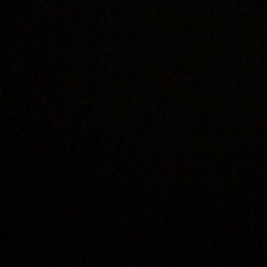 Meet your Posher, Abigail